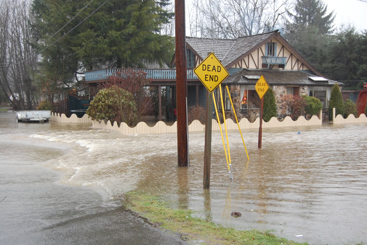 Jan 2009 Flooding 075