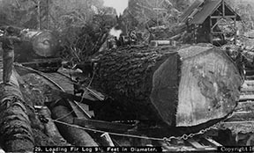 PO-178-91- Loading 9 and half ft diameter fir log- 1899- D Kinsey- Logging Steam Donkey Enginecropped