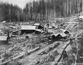 PO-381-13- Columbia River Logging- 1897- C Kinsey- Logging Camps- Merged