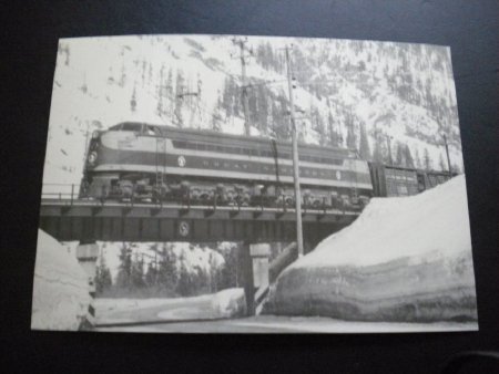 Postcard